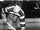 Eddie Finnigan
