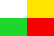 This city's flag.