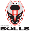 BirminghamBulls