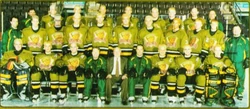 Brampton Battalion