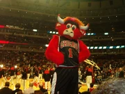 Benny the Bull, the Chicago Bulls mascot during the pre-game show.