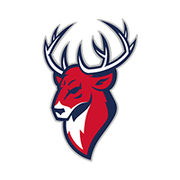 TorpedoNizhnylogo.png