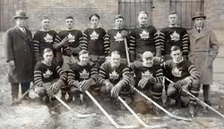 Sault Ste Marie Greyhounds