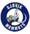 Gjovik Hockey.png