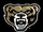 Oakland Golden Grizzlies