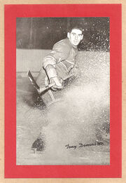 Tonydemers.jpg
