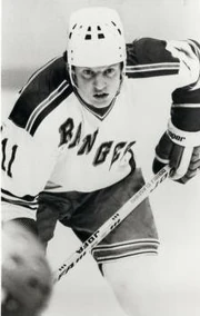 Ulfnilsson