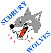 earlier versiion of Wolves logo