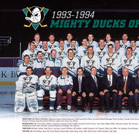 1993 anaheim ducks jersey