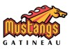 Gatineau Mustangs