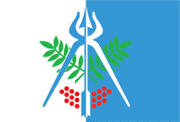 This city's flag.