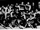 1954-55 MJHL Season