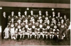 Buffalo Bisons