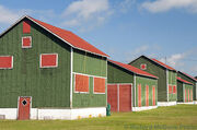 Delhi, Ontario