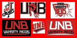 UNB-banner