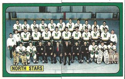 1988-1989 Stars