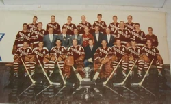 Hershey Bears