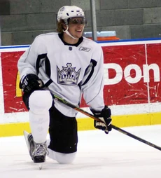 Anze Kopitar is the only Slovenian to ever play in the NHL.