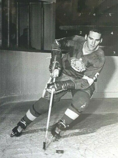 Jack Hughes, NHL Hockey Wikia