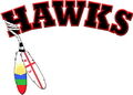 Elsipogtog Hawks logo.jpg