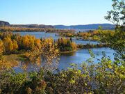 Forest, Ontario