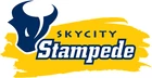 Skycity Stampede