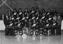 Nepean Raiders