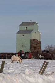 Hobbema, Alberta