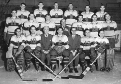 Champion Victoria Cougars