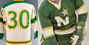 1967-Maniago-Woytowich jerseys