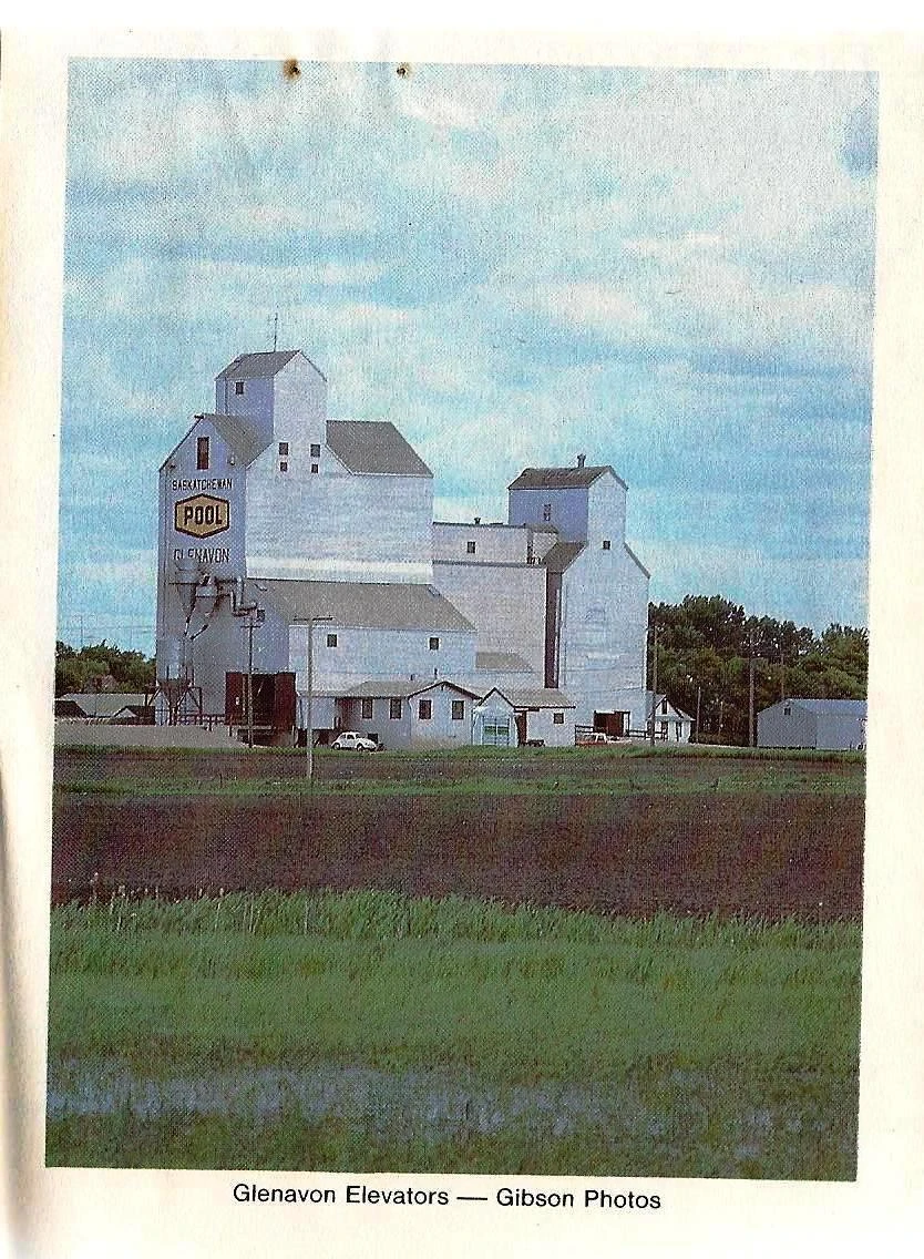 Glenavon Ice Hockey Wiki Fandom