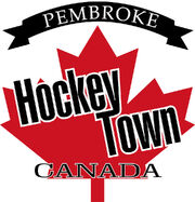 Hockeytown logo.jpg