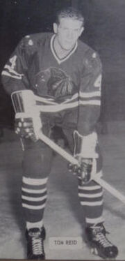 Tomreid.jpg