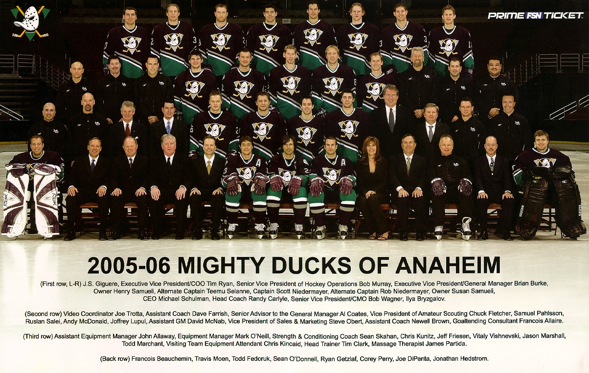 2005 Upper Deck #3 Rob Niedermayer Anaheim Mighty Ducks
