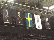 AIK Hovet 2012