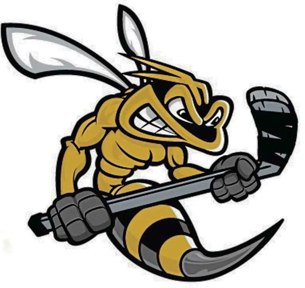 Macdonald Swarm | Ice Hockey Wiki | Fandom