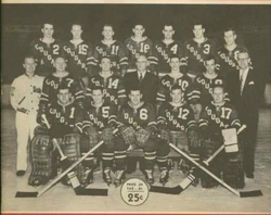 Victoria Cougars