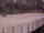 Delhi Community Arena