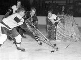 Al Arbour