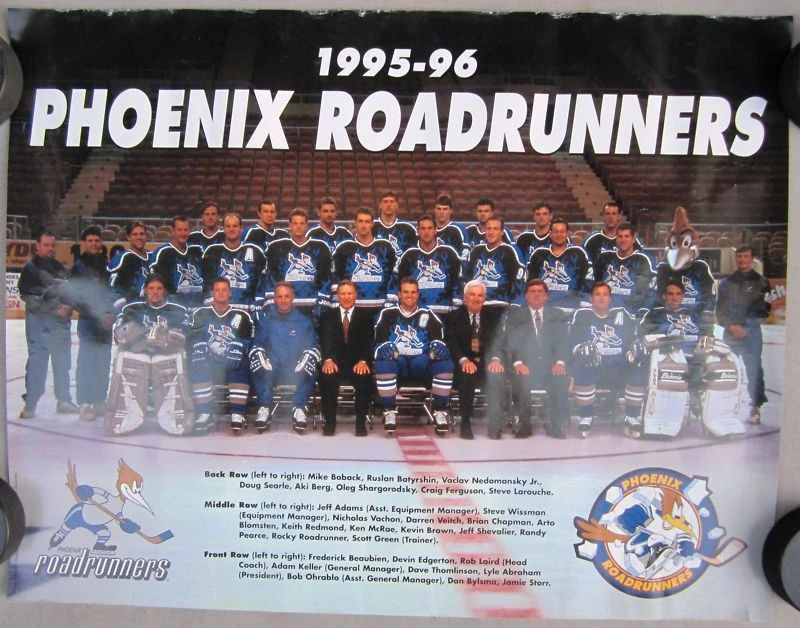 199596 IHL season Ice Hockey Wiki Fandom