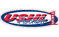 Indiana Ice Secondary Logo - United States Hockey League (USHL