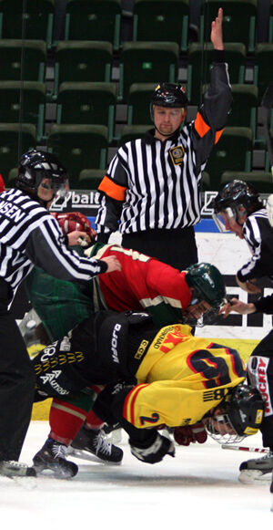 Fighting in ice hockey - Wikipedia