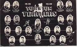 Yorkton Terriers