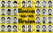 1988-89 Boston Bruins