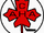 Canadian Amateur Hockey Association