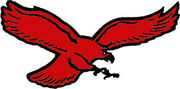 Winston-Salem Thunderbirds(T-birds)