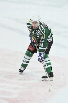 Zigmund palffy-3