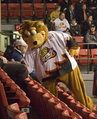 Attack mascot Cubby