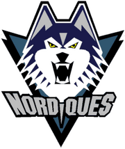 Had the Nordiques stayed in Quebec instead of heading for Denver, this would have been the franchise's new logo starting in 1996.
