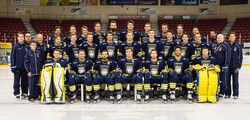 Lakehead Thunderwolves